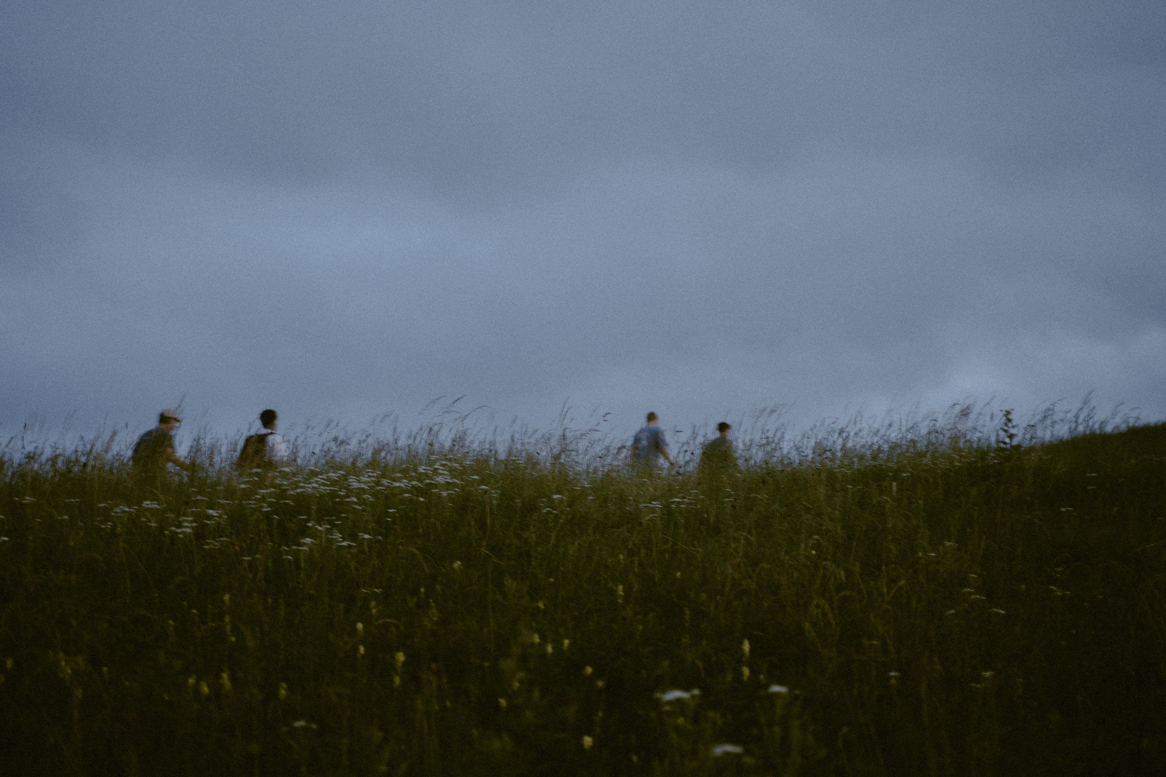 Men walking through a field